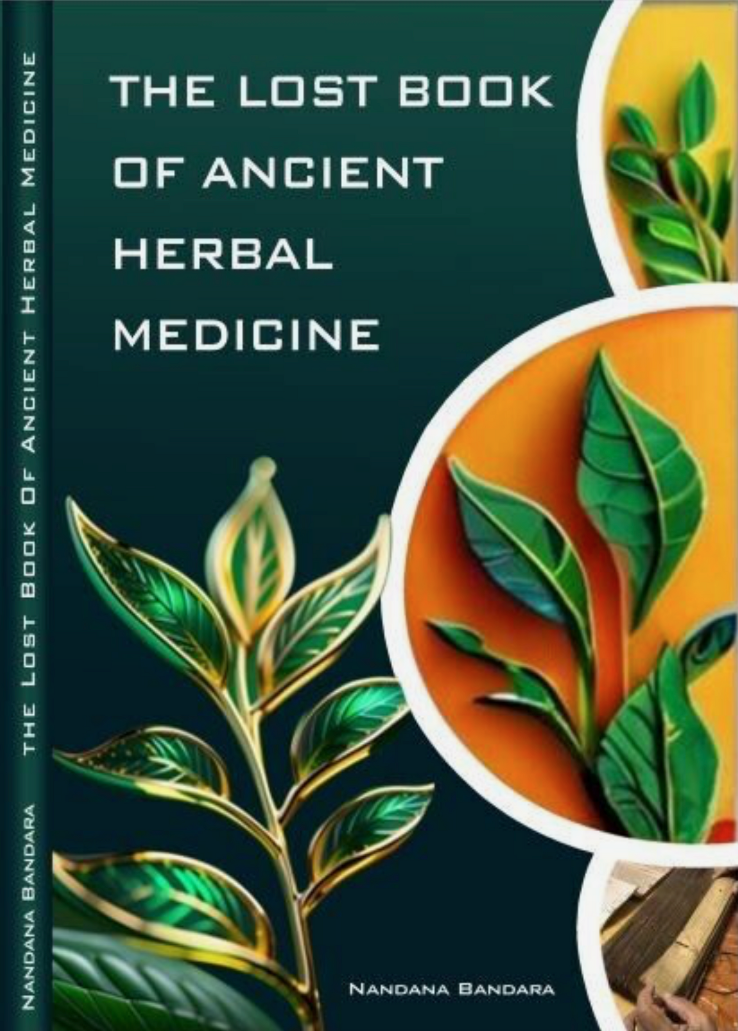 The Lost Book Of Ancient Herbal Medicine